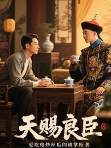 天赐良臣免费阅读