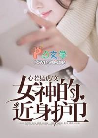 女神的近身护卫全目录 女神的近身护卫全目录