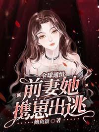 全球通缉令老婆离婚无效免费阅读