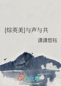 综英美与声与共TXT全本阅读 综英美与声与共TXT全本阅读