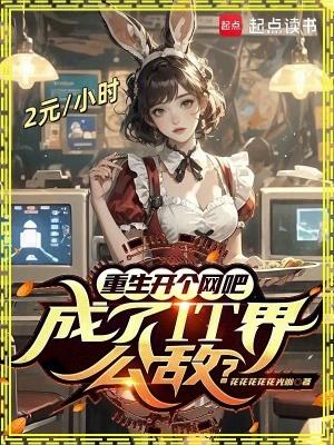 重生开个网吧成了it界公敌起点中文网 重生开个网吧成了it界公敌起点中文网