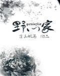 野心家英文 野心家英文