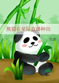 星际 熊猫 星际 熊猫