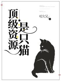 顶级omega百度