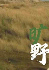 旷野之声