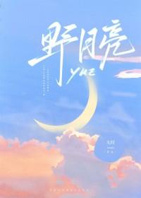 野月亮 百度