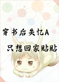 穿书后我失忆 穿书后我失忆