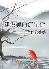 猎人同人我在流星街当小姐 猎人同人我在流星街当小姐
