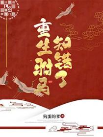 重生之驸马的