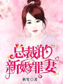总裁的新婚罪妻全文591章