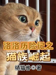 洛洛历险记里边的招数