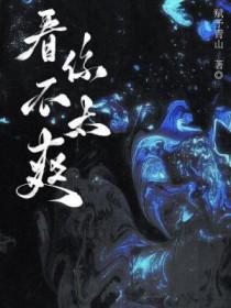 看你不爽是谁的台词
