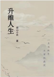 升维这本书 升维这本书