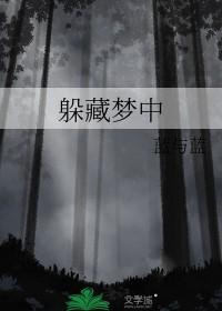 躲藏的梦 躲藏的梦