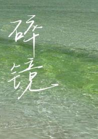 碎镜组织 碎镜组织