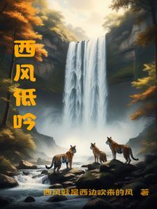 西风暗指什么