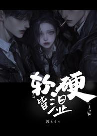 软硬皆湿H 软硬皆湿H