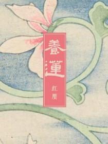 养莲藕每亩收入多少