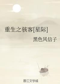 重生之骇客txt