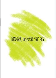 鼹鼠的石头中鼹鼠用什么做了门帘