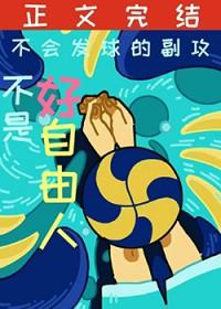 排球少年副攻手 排球少年副攻手