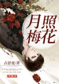 月照梅花无字诗 月照梅花无字诗
