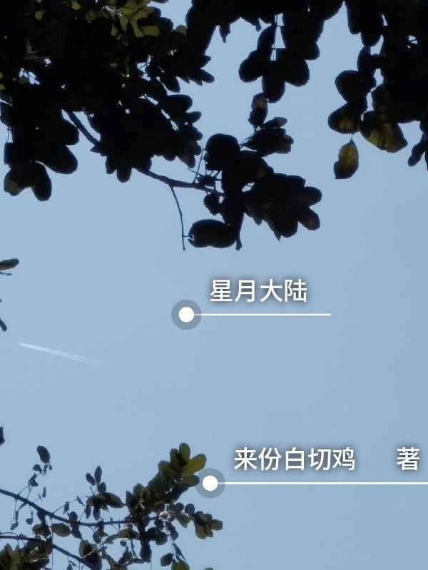 星月大陆游戏攻略