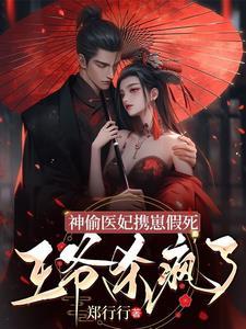 神偷狂妃王爷来单挑 神偷狂妃王爷来单挑