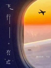 飞行有迹完整无删减 飞行有迹完整无删减