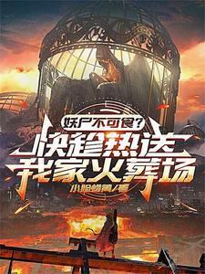 最后的十三城百科百度