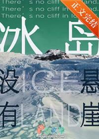 冰岛的石头 冰岛的石头
