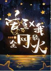 爱豆和我 全网最火晋江