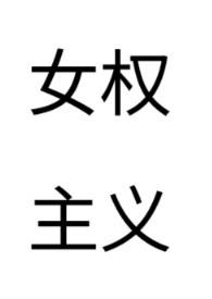 女权主义文集柳子雁 女权主义文集柳子雁