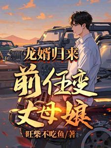 前女友岳母