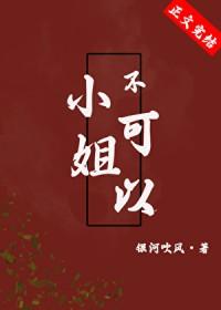 小姐不可以gl银河吹风番外