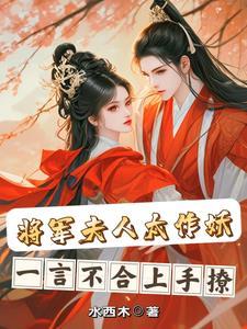 将军夫人惹