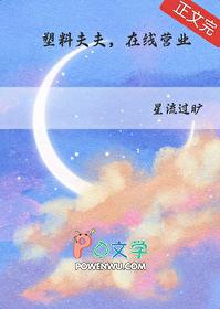 塑料夫夫在线营业txt百度