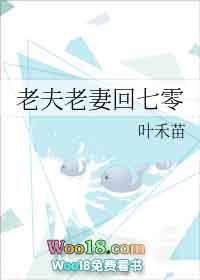 老夫老妻回七零叶禾苗百度