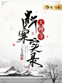 大理寺断案实录TXT
