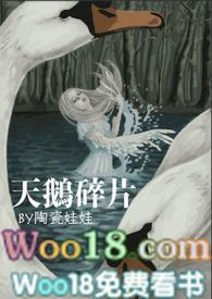 天鹅系列 天鹅系列