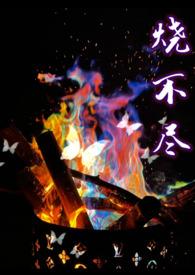 烧不尽1v1全文免费阅读