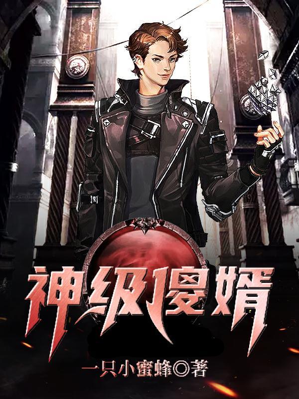 顶级傻婿 顶级傻婿