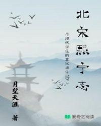 宋代熙宁年间是哪年 宋代熙宁年间是哪年
