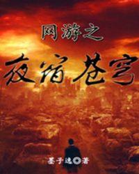 网游之星夜燕回 瑰屿 网游之星夜燕回 瑰屿