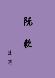 改造系统阮软