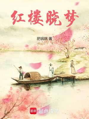 红楼晓梦完整无错版