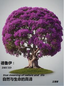 德鲁伊含义 德鲁伊含义
