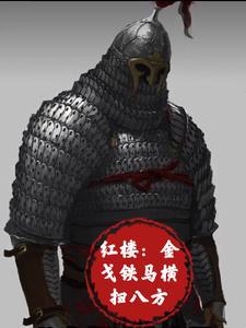 红楼金戈铁马横扫八方txt
