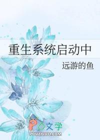 进入系统后重启 进入系统后重启