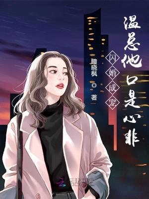闪婚成爱总裁大人请温柔 闪婚成爱总裁大人请温柔